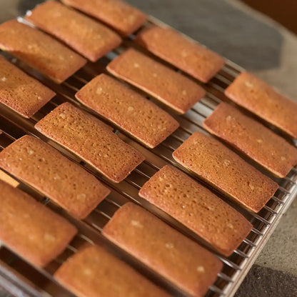 WHALE OF A TIME FINANCIER（フィナンシェ）
